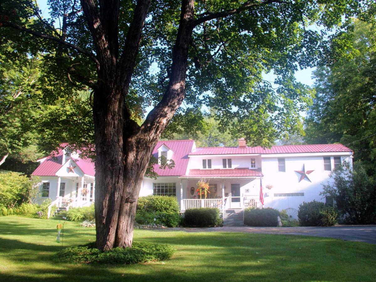 Buttonwood Inn On Mount Surprise Норд Конуей Екстериор снимка