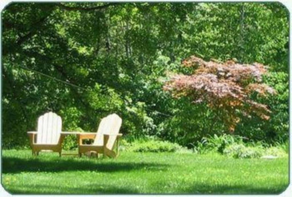 Buttonwood Inn On Mount Surprise Норд Конуей Екстериор снимка