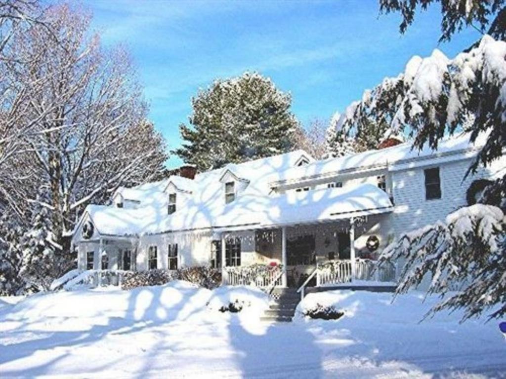 Buttonwood Inn On Mount Surprise Норд Конуей Екстериор снимка